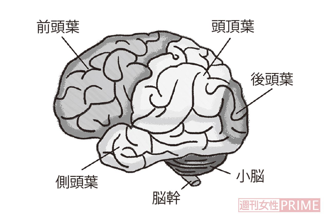 脳卒中