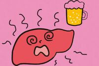 《50代から飲酒リスクが上昇》閉経後の過度な飲酒に注意！専門医が指南する病気にならない肝臓の守り方
