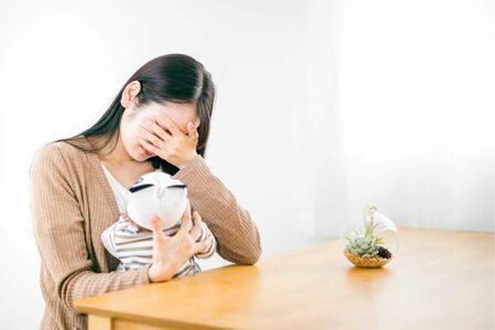 写真はイメージです