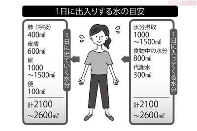 1日に出入りする水の目安　イラスト／アライヨウコ