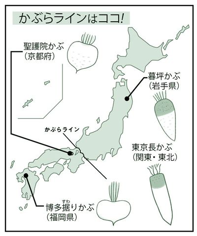 かぶらラインはココ!