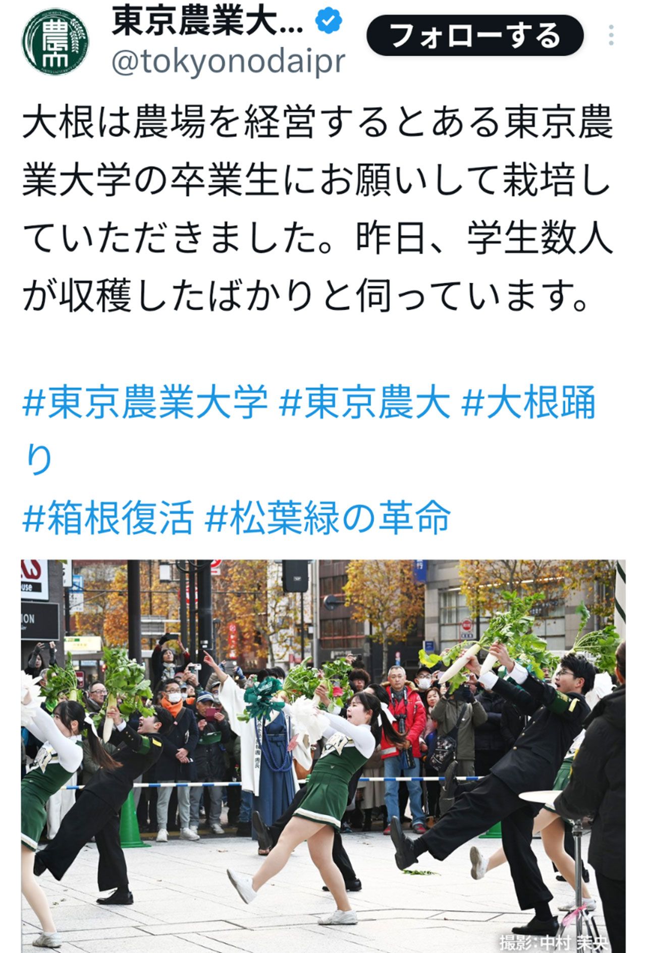 東農大の“大根踊り”に関する投稿（大学の公式Xより）