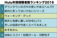 ネットテレビ大手Hulu担当者を直撃「40代以上の方々にはまだ浸透していない」