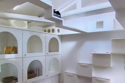 林かおる先生のねこ御殿