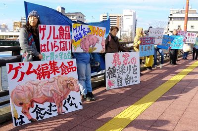 安全性の検証が不十分とゲノム編集食品に反対する人たちは少なくない