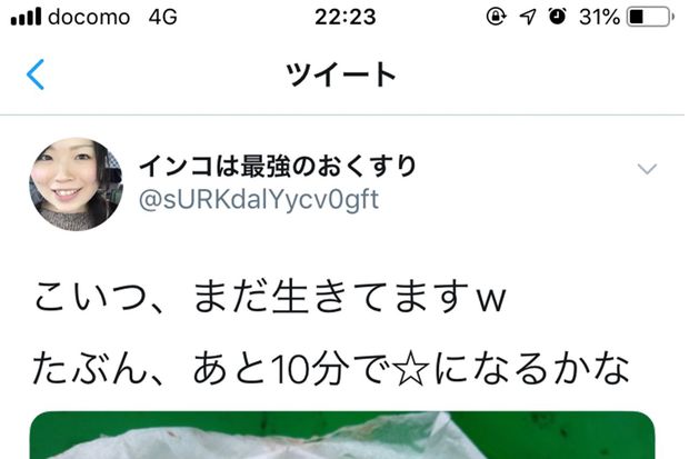 坂野容疑者のものと見られるアカウント（読者提供）