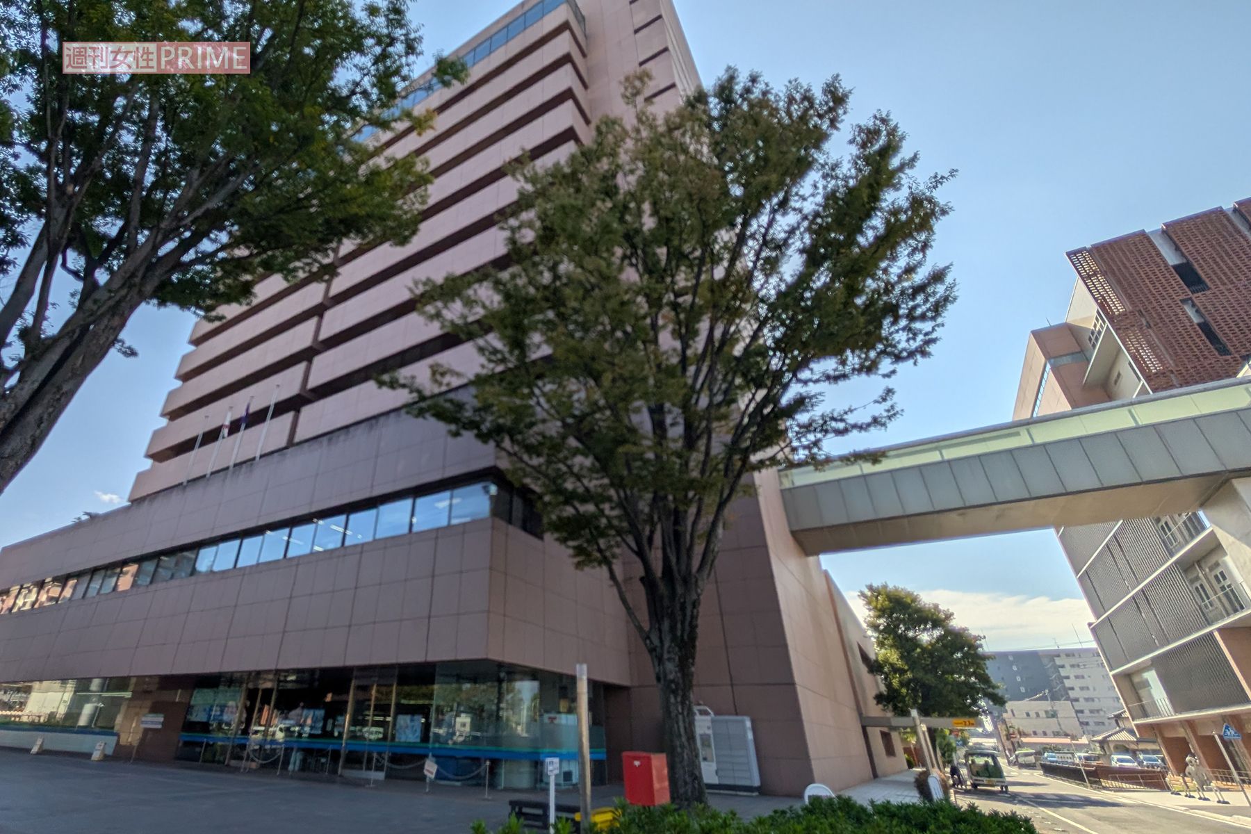 前橋市市役所　　撮影／編集部