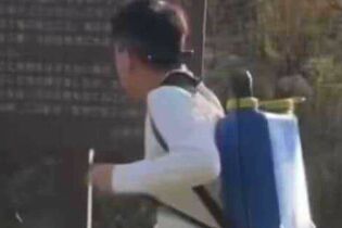 《山梨県・河口湖》外国人が“白い液体”を広範囲散布で大炎上「一線超えてない?」やりたい放題の蛮行に批判殺到