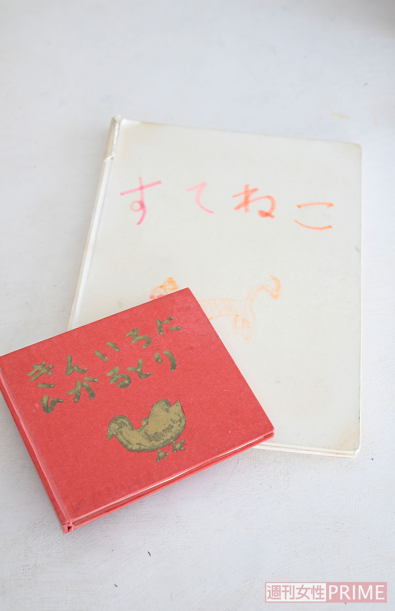 小学生のときに作った絵本の『すてねこ』と『きんいろにひかるとり』。母が製本してくれた思い出の作品。（撮影／渡邉智裕）