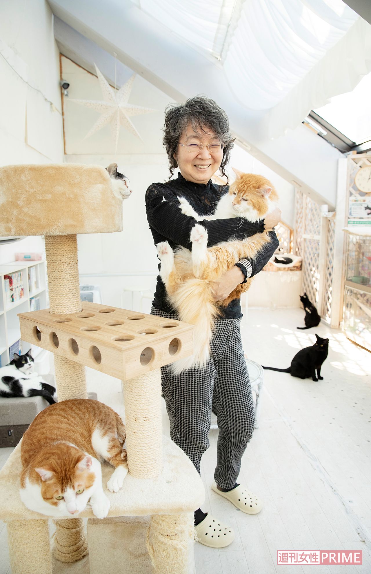 大塚にある保護猫カフェ『東京キャットガーディアン』。山本さんのこだわりで、室内は猫が気持ちよく過ごせる空間づくりが徹底されている