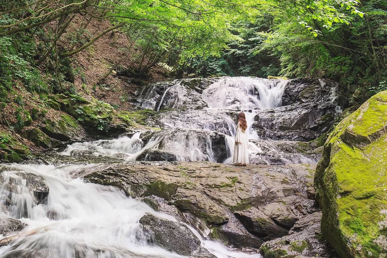 魚止めの滝（うおどめのたき）
