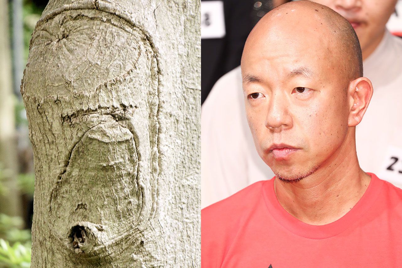 こちらの木にはバイきんぐ小峠が。本人もまさか人面樹で発見されたと知ったら「なんて日だ!」って叫んじゃう!？