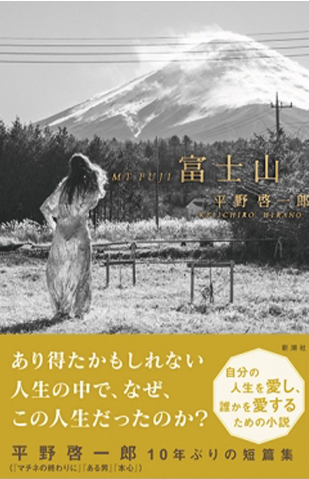 『富士山』平野啓一郎　新潮社　税込み1870円