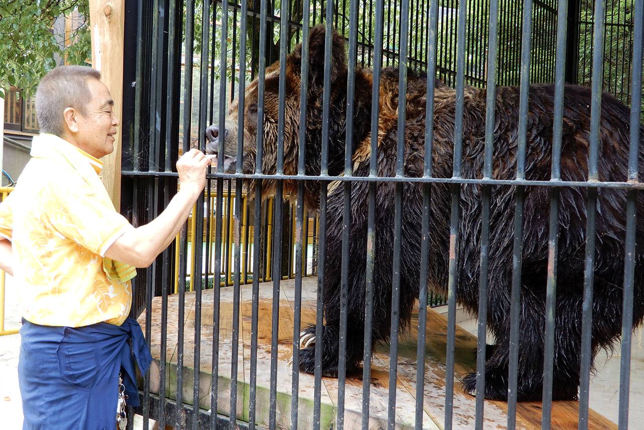 ヒグマのシュウは山本園長に“メロメロ”