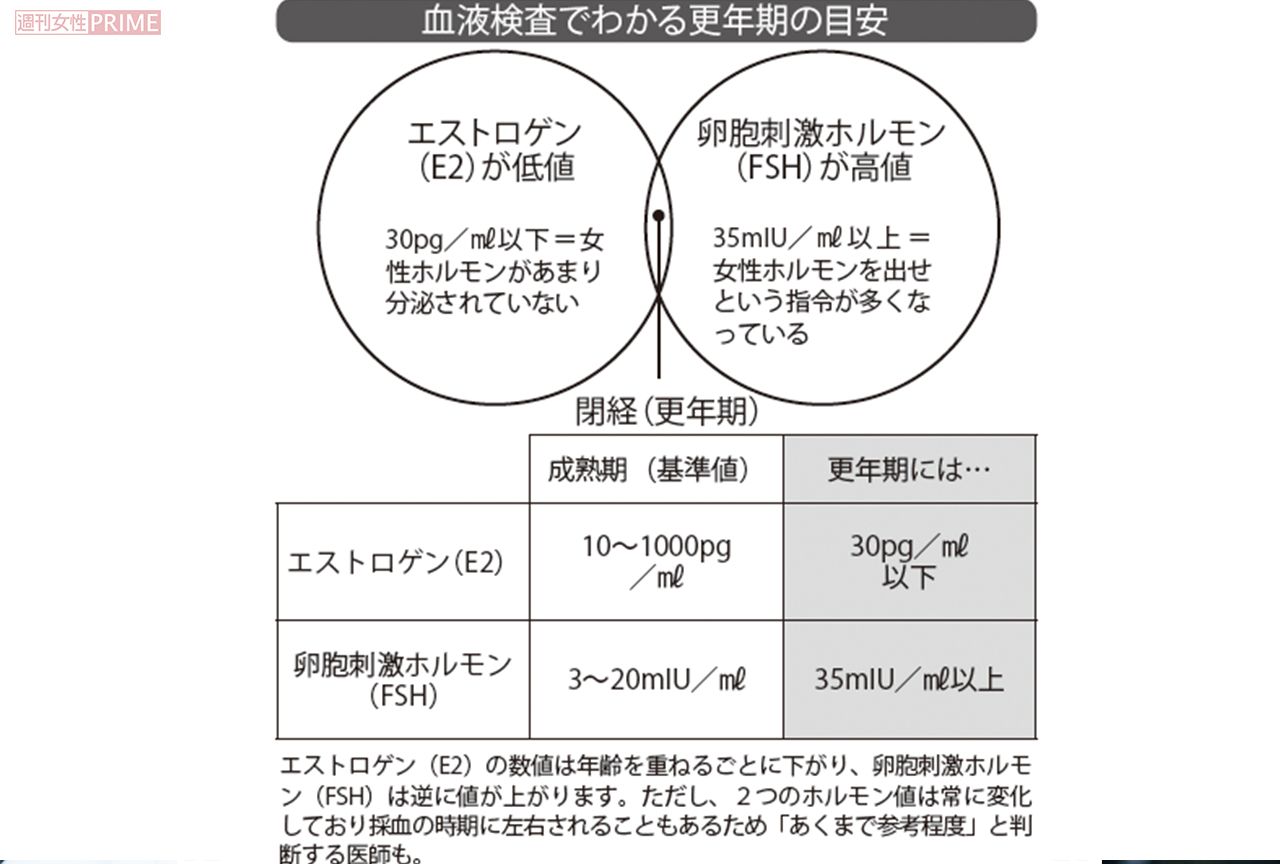 血液検査でわかる更年期の目安