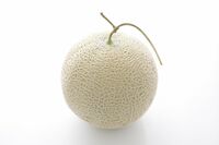 【知って楽しい雑学】メロンの網目模様はどうしてあるの?ネット模様は成長の証!高級メロンは芸術的な職人…