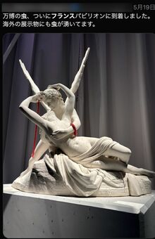 「虫がつくのは当然」フランスパビリオン屋外で展示されているという像（Xより）