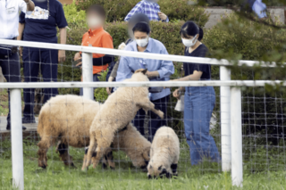 今年8月、『那須どうぶつ王国』でヒツジにえさやりされる雅子さまと愛子さま
