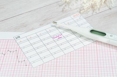 2100組以上を妊娠に導いた内科医が語る、最新・不妊治療の違和感「高度生殖医療だけがすべてではない」伝え…