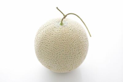 【知って楽しい雑学】メロンの網目模様はどうしてあるの?ネット模様は成長の証!高級メロンは芸術的な職人…