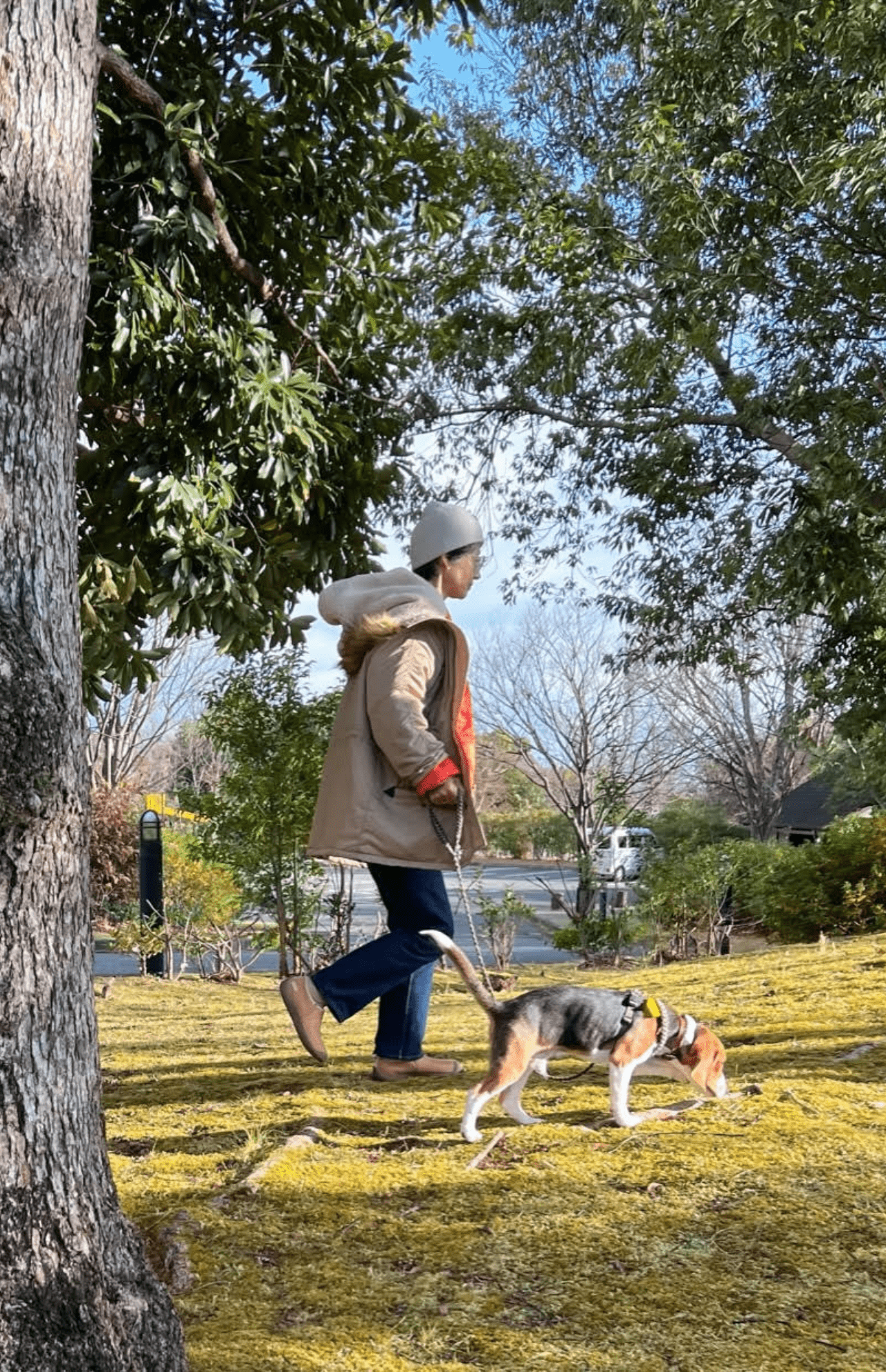 寒い日もしっかり着込んで、ビーグル犬のジンジャーと散歩。枯れ葉を踏む音も聞こえるようになった