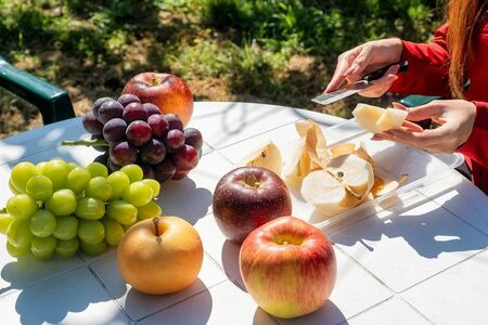 シードル醸造所ツアー