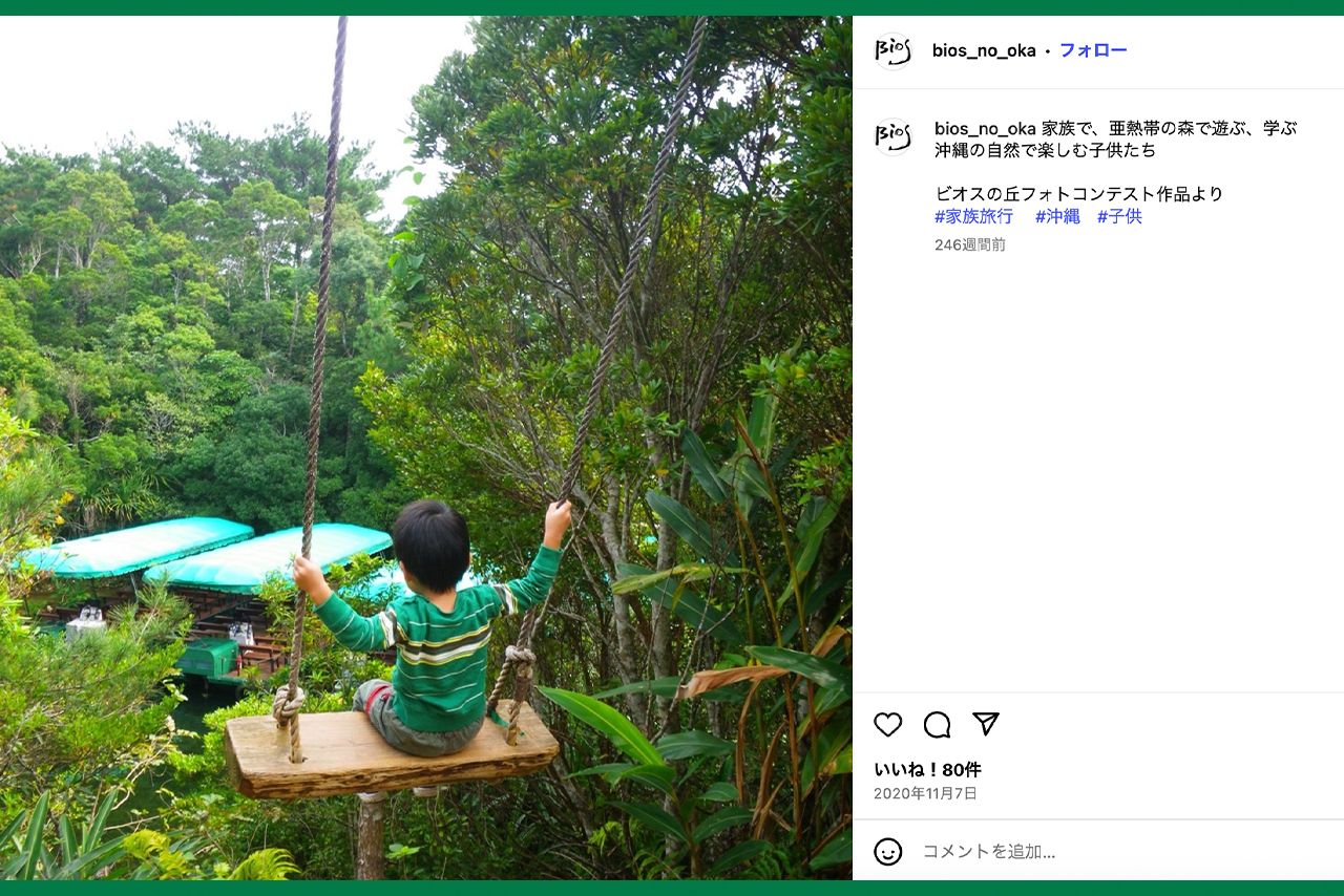 ジャングルを堪能できるビオスの丘にあるブランコ（公式Instagramより）