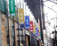 中国人旅行客に生理用品が大人気、1年分に相当する注文も