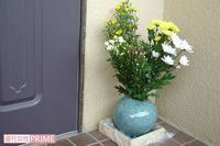 認知症の母と車イスの弟 “W介護” の果ての悲劇、容疑者となった兄の献身愛