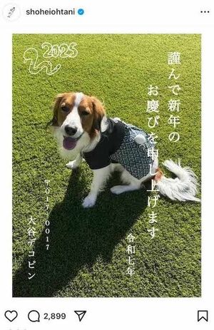 2025年はデコピンの写真で新年の挨拶（大谷翔平のインスタグラムより）