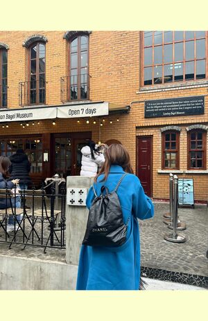 Instagram：@youn1029より　※画像をクリックするとInstagramにジャンプします。