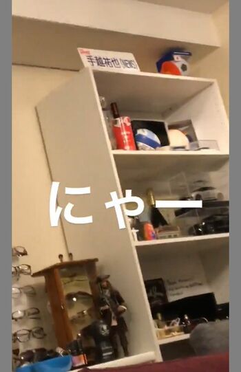 SNS上に流出・拡散された「手越祐也の自宅」とされる画像