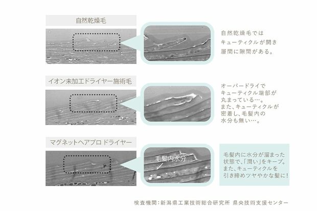 独自のテラヘルツ波の皮膜形成成分で、キューティクルをしっかり引き締める。自然乾燥やオーバードライの状態ではボロボロのキューティクルも、『ドライヤーゼロ』なら毛髪内に潤いをしっかりキープ