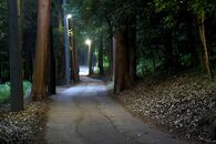 女子200人から聞いた「実際にあった心霊体験談」から、最恐15選をどうぞ