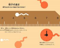 ボルトの世界記録より速い！精子が飛び出す速さは最高時速48.2キロ