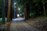 女子200人から聞いた「実際にあった心霊体験談」から、最恐15選をどうぞ