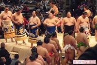 日馬の暴行問題、“本当のファンの本音” を集めると「引退は望まない」が多数