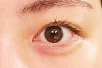 「眼球体操やブルーベリーが目にいい」はウソ!?　目のジョーシキがくつがえる！