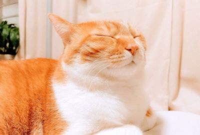 なぜか「目つぶり5秒」で耳鳴りやめまい、自殺願望が消えていく