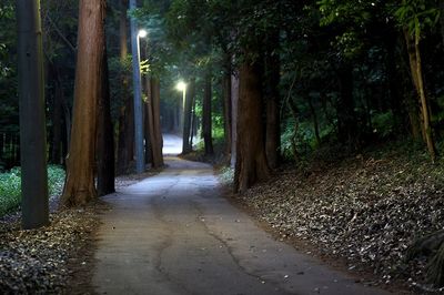 女子200人から聞いた「実際にあった心霊体験談」から、最恐15選をどうぞ