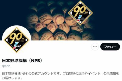 日本野球機構（NPB）「もはや野球アンチだろ」選手の写真・動画の“SNS投稿禁止”でファンの不満が爆発