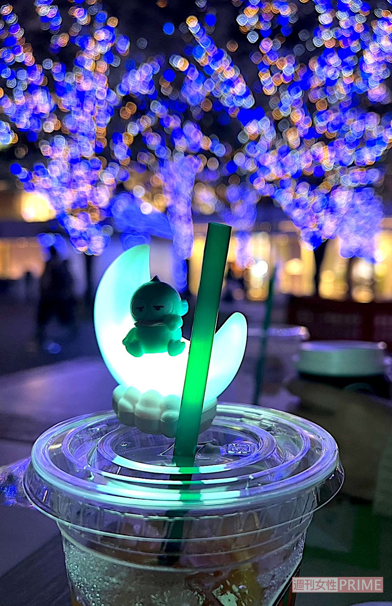 家も街もクリスマスの雰囲気で、気分も高まります　撮影／加藤綾菜