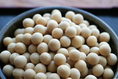 《大豆のチカラ》“豆活”ブームはまだまだ継続中、ヘルシーで栄養満点、ご当地みそ汁に進化系大豆ミートま…