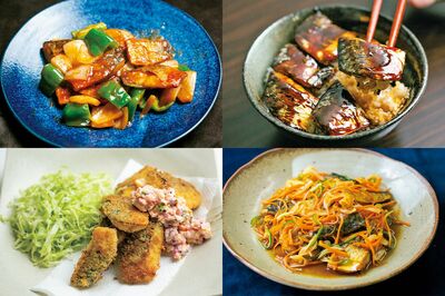 《“冷凍サバ”アレンジレシピ7選》プロが伝授「常温解凍はNG！」冷凍サバで作る節約×健康レシピ大全