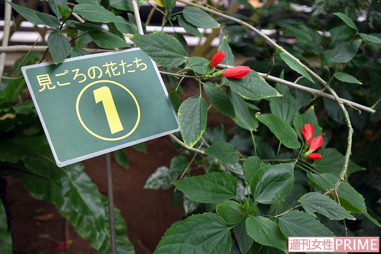 見ごろの植物を番号で示し、解説もあるのでわかりやすい　撮影／渡邉智裕
