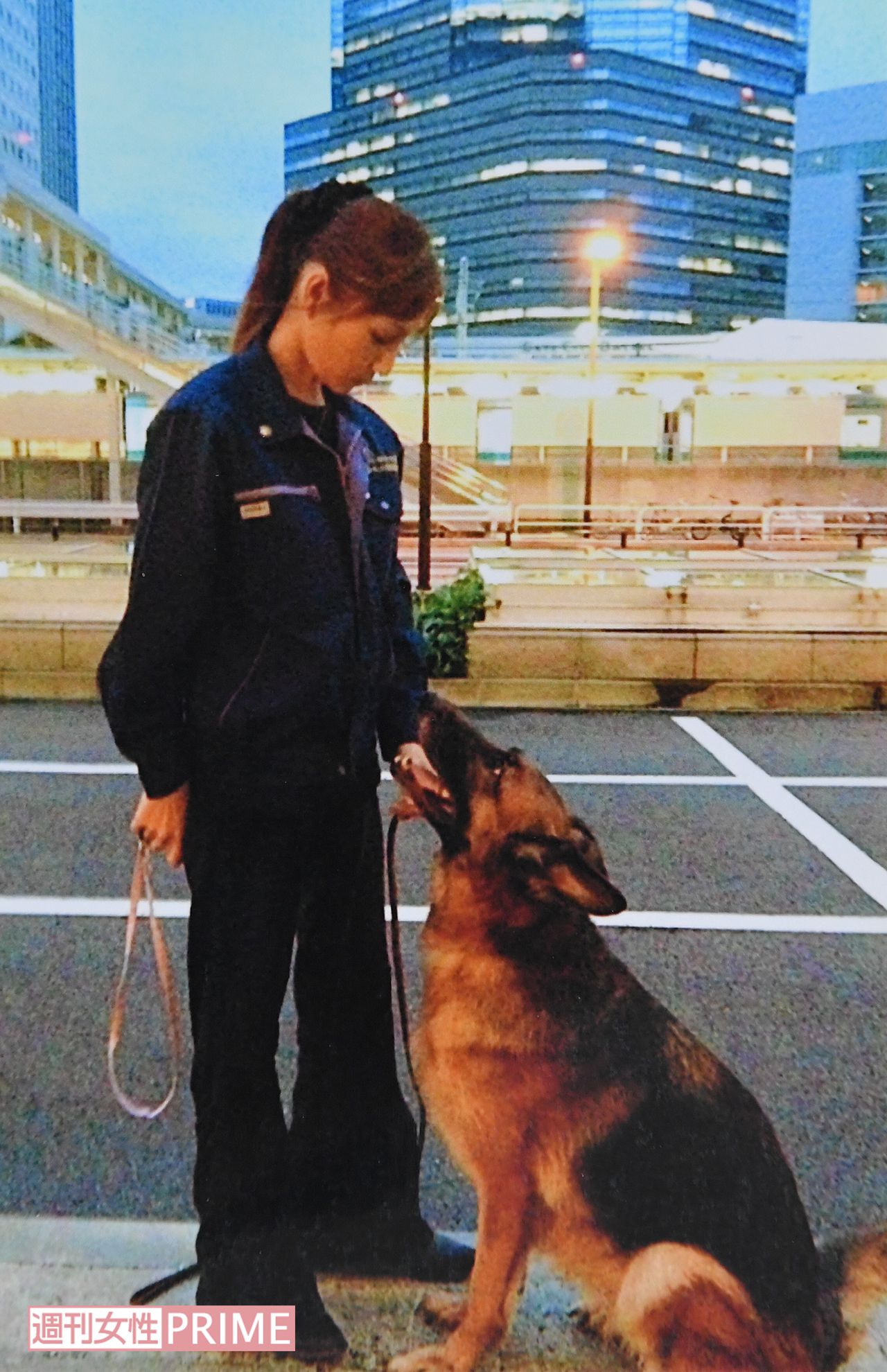 8年間、警察犬として頑張ったシェパードのグレースとはさまざまな現場を駆け回った。松尾さんは左の写真を今でも自宅リビングに大切に飾っている