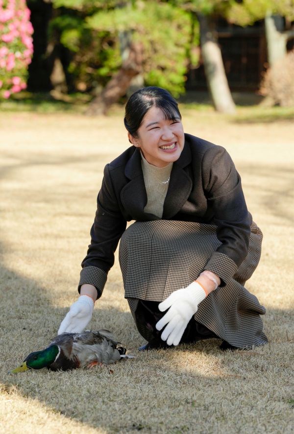 放したカモが飛び立たないというハプニングに思わず苦笑い