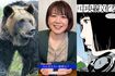 過去最多の被害が出ているクマ、小川晶前橋市長(本人のSNSより)、漫画家・イラストレーターの江口寿史氏によるトレパク騒動