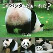 『このパンダ、だぁ~れだ?』(講談社ビーシー)著・二木繁美 ※画像をクリックするとアマゾンの商品ページにジャンプします。