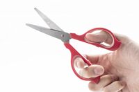 【知って楽しい雑学】11月8日は「刃物の日」家にあるもので、ハサミの切れ味を復活させる方法があった!“…